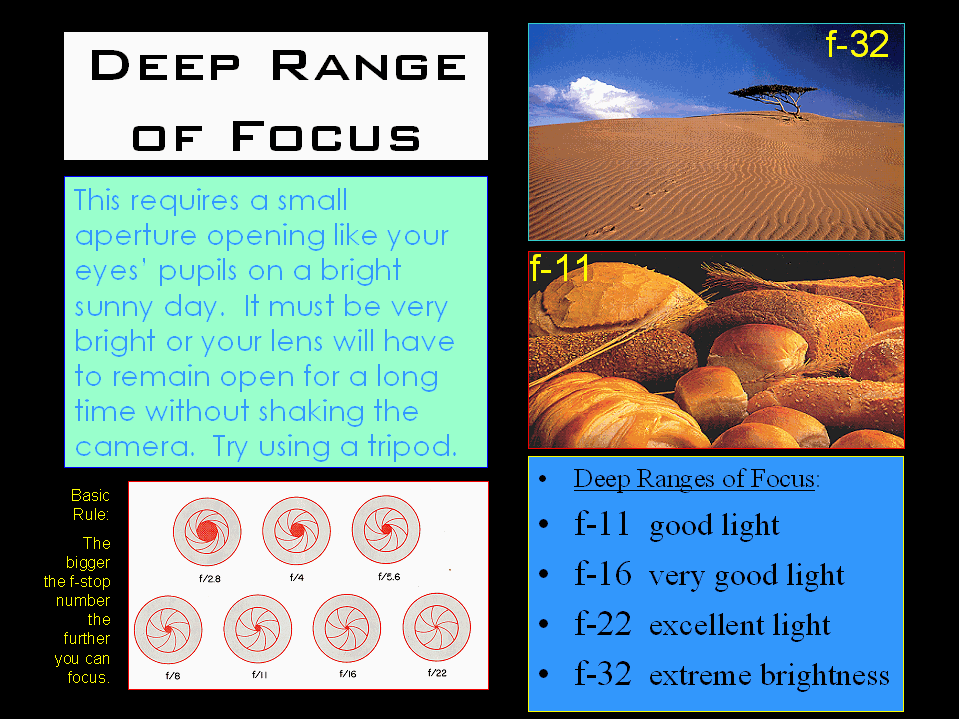 slide3.gif