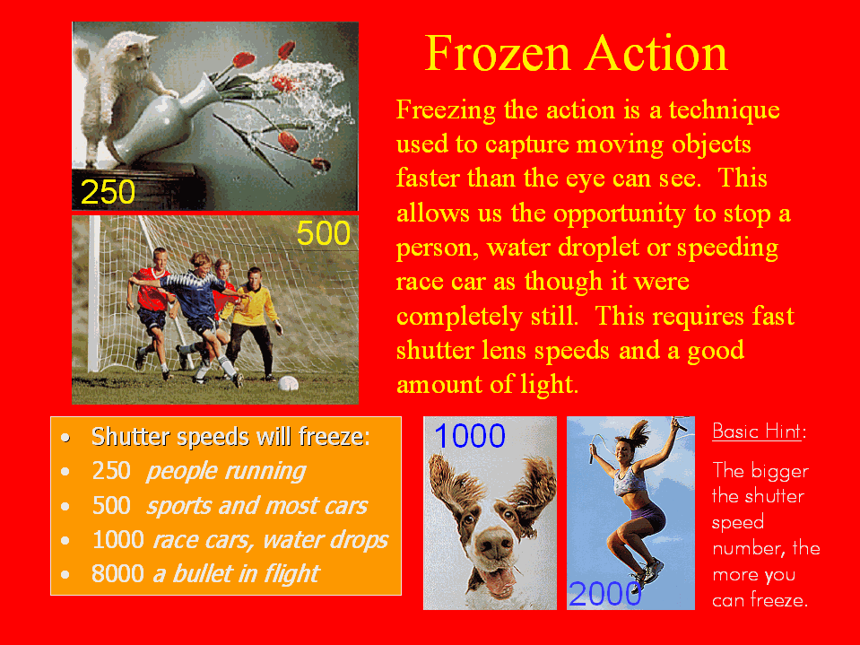 slide4.gif